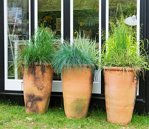 CHELSEA_2012__OUTDOOR_GARDEN_ROOMSHED_DESIGNED_BY_VICKI_CONRAN__TERRACOTTA_PLANTERS_CONTAINERS_PLANT