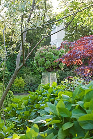 GRANGE_COURT__GUERNSEY_FOLIAGE_AND_MAPLE_WITH_CLEAR_OBELISK