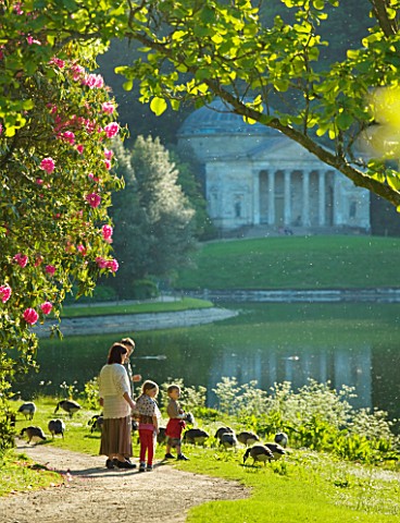STOURHEAD_LANDSCAPE_GARDEN__WILTSHIRE_THE_NATIONAL_TRUST_MAY_2012__FAMILY_FEEDING_CANADA_GEESE_BESID