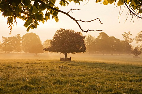 DUDMASTON_ESTATE__SHROPSHIRE_THE_NATIONAL_TRUST_MAY_2012__DAWN_VIEW_FROM_FRONT_OF_HOUSE_ACROSS_PARKL