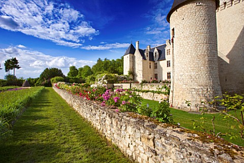 CHATEAU_DU_RIVAU__LOIRE_VALLEY__FRANCE_THE_CHATEAU_WITH_ROSES_ON_WALL