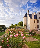 CHATEAU DU RIVAU  LOIRE VALLEY  FRANCE: THE CHATEAU IN THE EVENING WITH DAVID AUSTIN ROSES IN THE SECRET GARDEN