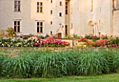 CHATEAU DU RIVAU  LOIRE VALLEY  FRANCE: THE CHATEAU IN THE EVENING WITH CLIMBING ROSES ON THE LIMESTONE WALLS