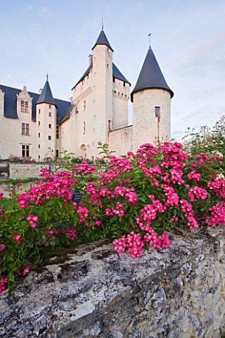 CHATEAU_DU_RIVAU__LOIRE_VALLEY__FRANCE_THE_CHATEAU_IN_EVENING_LIGHT_SEEN_FROM_THE_ROSE_WALK_WITH_ROS