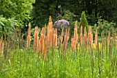 CHATEAU DU RIVAU  LOIRE VALLEY  FRANCE: LITTLE THUMBLING GARDEN - TALL ORANGE SPIRES OF ERUMURUS CLEOPATRA AND NAMENTAL DOVE CAGE BY CLAUDE PASQUER