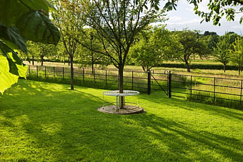 GIPSY_HOUSE__BUCKINGHAMSHIRE_VIEW_ACROSS_LAWN_TO_METAL_TREE_SEAT_AND_MEADOW_BEYOND