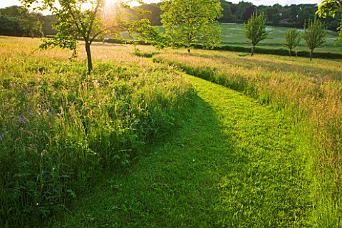 GIPSY_HOUSE__BUCKINGHAMSHIRE_THE_MEADOW_WITH_MOWN_PATH
