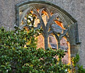 NYMANS  SUSSEX. THE NATIONAL TRUST: DETAIL OF WINDOW IN THE HOUSE IN EVENING LIGHT IN JUNE