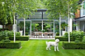 THE GLASS HOUSE  PETERSHAM. ARCHITECTS TERRY FARRELL PARTNERS. GARDEN DESIGN BY SALLIS CHANDLER: LAWN  GLASS PAVILION  BETULA UTILIS JACQUEMONTII AND OUTDOOR DINING  TABLE