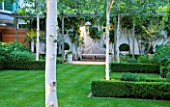 THE GLASS HOUSE  PETERSHAM. ARCHITECTS TERRY FARRELL PARTNERS. GARDEN DESIGN BY SALLIS CHANDLER: LAWN  BOX EDGED BEDS AND BARK OF BETULA UTILIS JACQUEMONTII