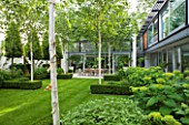 THE GLASS HOUSE  PETERSHAM. ARCHITECTS TERRY FARRELL PARTNERS. GARDEN DESIGN BY SALLIS CHANDLER: VIEW ACROSS LAWN TO LIMESTONE PATIO WITH TABLE AND CHAIRS  BETULA JACQUEMONTII
