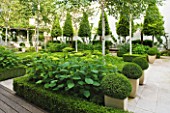 THE GLASS HOUSE  PETERSHAM. ARCHITECTS TERRY FARRELL PARTNERS. GARDEN DESIGN BY SALLIS CHANDLER: FORMAL GARDEN WITH CLIPPED BOX AND BAY  HYDRANGEA ANNABELLE   BETULA JACQUEMONTII