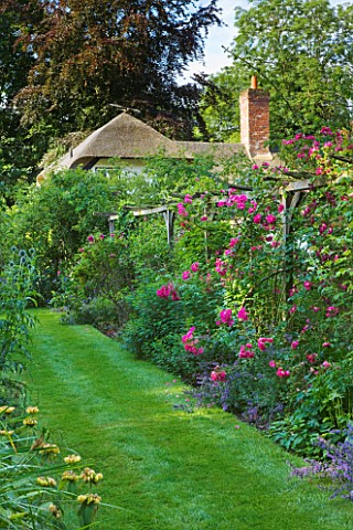 OLD_THATCH__BERKSHIRE_VIEW_TO_THATCHED_COTTAGE_WITH_PERGOLA__ARBOUR_WITH_ROSE__ROSA_AMERICAN_PILLAR_