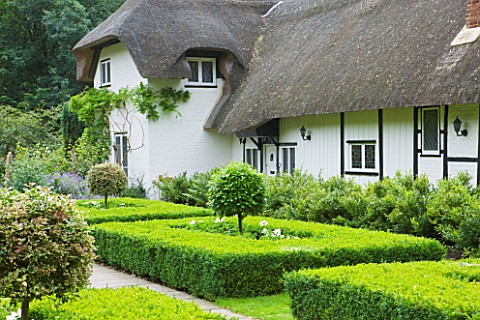 OLD_THATCH__BERKSHIRE_THE_THATCHED_COTTAGE_SEEN_FROM_THE_FORMAL_GARDEN_OF_CLIPPED_BOX_HEDGES_AND_LOL