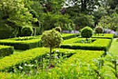 OLD THATCH  BERKSHIRE: THE FORMAL GARDEN OF CLIPPED BOX HEDGES AND LOLLIPOPS OF VARIEGATED YEW