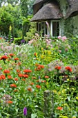 OLD THATCH  BERKSHIRE: PERENNIAL COTTAGE GARDEN PLANTS IN FRONT OF THATCHED COTTAGE - LYCHNIS CHALCEDONICA   ALLIUM CHRISTOPHII AND ROSES