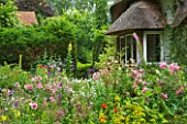 OLD THATCH  BERKSHIRE: PERENNIAL COTTAGE GARDEN PLANTS IN FRONT OF THATCHED COTTAGE - LYCHNIS CHALCEDONICA   FOXGLOVES  ROSES AND PINKS