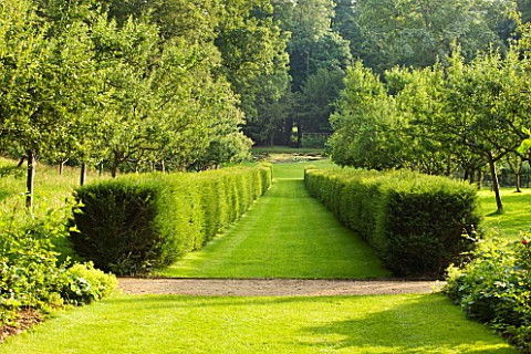 PAINSWICK_ROCOCO_GARDEN__GLOUCESTERSHIRE_VIEW_DOWN_THE_GARDEN_FROM_THE_RED_HOUSE