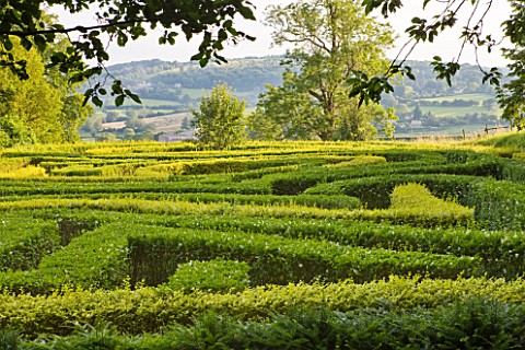 PAINSWICK_ROCOCO_GARDEN__GLOUCESTERSHIRE_THE_ANNIVERSARY_MAZE_PLANTED_IN_2000_TO_CELEBRATE_THE_250TH