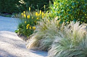THE LAKE HOUSE: BORDER BESIDE DRIVE WITH GRASSES AND YELLOW KNIPHOFIAS