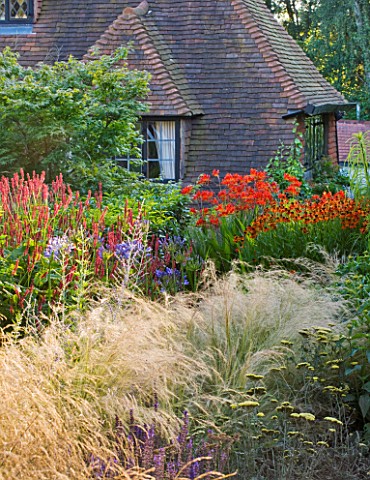THE_LAKE_HOUSE_HOT_BORDER_BESIDE_HOUSE_WITH_ACHILLEAS__STIPA__HELENIUMS_AND_CROCOSMIA