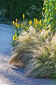 THE LAKE HOUSE: BORDER OF GRASSES AND YELLOW KNIPHOFIA