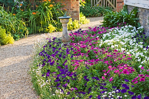 PECKOVER_HOUSE__WISBECH__CAMBRIDGESHIRE_THE_NATIONAL_TRUST__SUNDIAL_AND_PETUNIAS_BESIDE_THE_ORANGERY