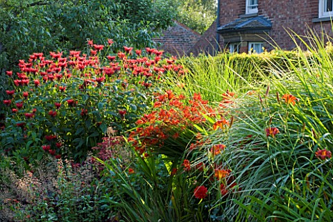 PECKOVER_HOUSE__WISBECH__CAMBRIDGESHIRE_THE_NATIONAL_TRUST__RED_BORDER_WITH_HELENIUMS__MONARDAS_AND_