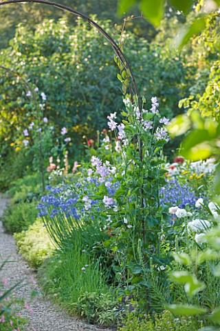 PECKOVER_HOUSE__WISBECH__CAMBRIDGESHIRE_THE_NATIONAL_TRUST__SWEET_PEA_ARCH_IN_THE_CUT_FLOWER_GARDEN