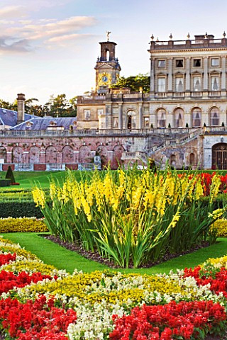 THE_NATIONAL_TRUST_CLIVEDEN__BUCKINGHAMSHIRE_THE_PARTERRE_IN_EVENING_LIGHT_WITH_YELLOW_GLADIOLI_AND_