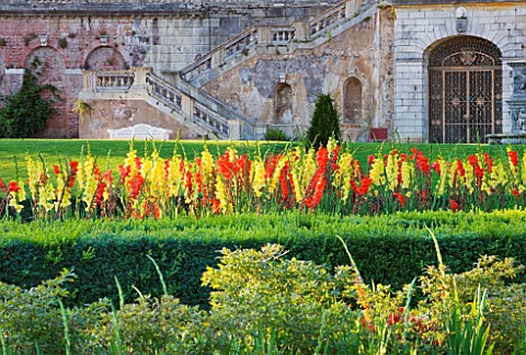 THE_NATIONAL_TRUST_CLIVEDEN__BUCKINGHAMSHIRE_THE_PARTERRE_IN_EVENING_LIGHT_WITH_YELLOW_GLADIOLI_AND_
