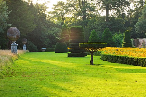 THE_NATIONAL_TRUST_CLIVEDEN__BUCKINGHAMSHIRE_TOPIARY_AND_URNS_IN_THE_LONG_GARDEN__EVENING_LIGHT