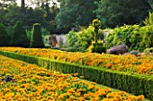 THE NATIONAL TRUST: CLIVEDEN  BUCKINGHAMSHIRE: TOPIARY AND BOX EDGED BEDS PLANTED WITH RUDBECKIA  IN THE LONG GARDEN  EVENING LIGHT