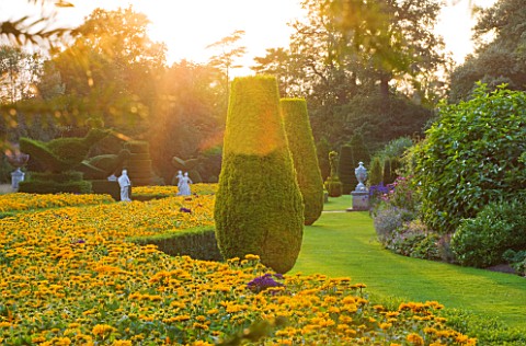 THE_NATIONAL_TRUST_CLIVEDEN__BUCKINGHAMSHIRE_TOPIARY_AND_BOX_EDGED_BEDS_PLANTED_WITH_RUDBECKIA__IN_T