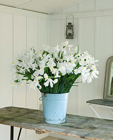 TWIG_HUTCHINSON_HOUSE__LONDON_WOODEN_TABLE_WITH_WHITE_IRISES_IN_A_METAL_CONTAINER