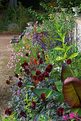 RAGLEY_HALL_GARDEN__WARWICKSHIRE_DAHLIA_KARMA_CHOCOLATE_AND_THE_LEAVES_OF_A_BANANA_IN_A_BORDER_IN_FR