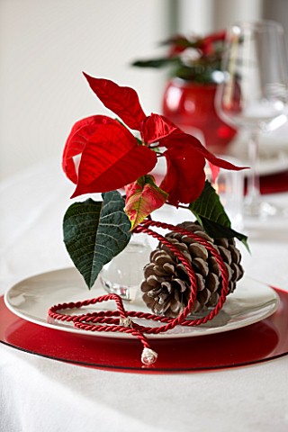THE_URBAN_FLOWER_FIRM_TUFF__WHITE_AND_RED_CHRISTMAS_TABLE_SETTING_WITH_POINSETTIA_CHRISTMAS_FEELINGS