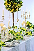 DESIGNER IAN LLOYD - CHRISTMAS TABLE SETTING IN WHITE AND LIME GREEN  WITH CANDLES AND POINSETTIA CHRISTMAS FEELINGS WHITE