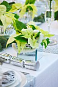 DESIGNER IAN LLOYD - CHRISTMAS TABLE SETTING IN WHITE AND LIME GREEN  WITH CANDLES AND POINSETTIA CHRISTMAS FEELINGS WHITE IN MIRRORED CONTAINER
