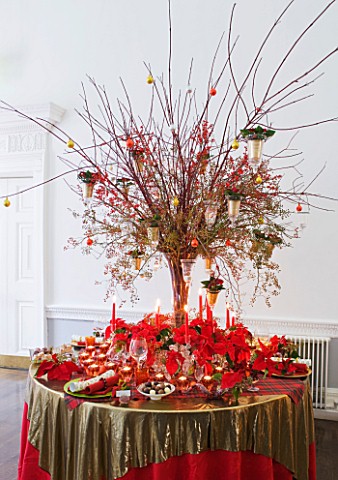 DESIGNER_PAULA_PRYKE__RED_AND_GOLD_CHRISTMAS_TABLE_DECORATION_WITH_POINSETTIA_CHRISTMAS_FEELINGS_RED