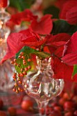 DESIGNER PAULA PRYKE - RED AND GOLD CHRISTMAS TABLE DECORATION WITH POINSETTA SARURNUS RED IN GLASS CONTAINER WITH ORANGE BERRIES