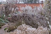 HAMPTON COURT CASTLE AND GARDENS  HEREFORDSHIRE: THE ORGANIC KITCHEN/ VEGETABLE GARDEN - HERBACEOUS PLANTS IN FROST
