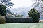 HAMPTON COURT CASTLE AND GARDENS  HEREFORDSHIRE: YEW HEDGE TOPIARY BESIDE HAMPTON COURT  IN FROST