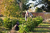 THE GARDEN AND PLANT COMPANY  HATHEROP  GLOUCESTERSHIRE: JEREMY AND BLACK LABRADOR EFFI SELECTING TREES FOR CUTTING AT THE NURSERY