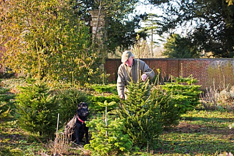 THE_GARDEN_AND_PLANT_COMPANY__HATHEROP__GLOUCESTERSHIRE_JEREMY_AND_BLACK_LABRADOR_EFFI_SELECTING_TRE