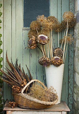 THE_GARDEN_AND_PLANT_COMPANY__HATHEROP__GLOUCESTERSHIRE_NATURAL_DRIED_DECORATIONS_FROM_THE_GARDEN_DR