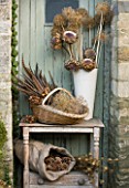 THE GARDEN AND PLANT COMPANY  HATHEROP  GLOUCESTERSHIRE: NATURAL DRIED DECORATIONS FROM THE GARDEN: DRIED FLOWER AND SEED HEADS  HYDRANGEAS   ALLIUMS  CARDOONS  PHEASANT FEATHERS