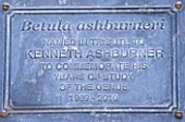 STONE LANE GARDEN  DEVON: WINTER - TRIBUTE TO KENNETH ASHBURNER FOR HIS YEARS OF STUDY OF THE GENUS BETULA