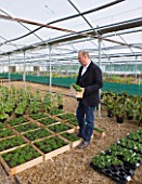 CROCUS NURSERY  SURREY: ARNE MAYNARD CHECKS PLANTS FOR HIS 2012 CHELSEA FLOWER SHOW GARDEN
