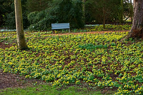 LITTLE_PONTON_HALL__LINCOLNSHIRE_BENCH_WITH_ACONITES